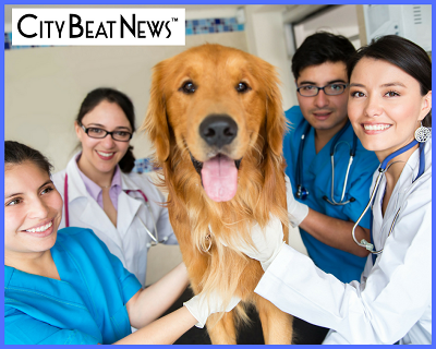 City Beat News Veterinary Nominations for 2018